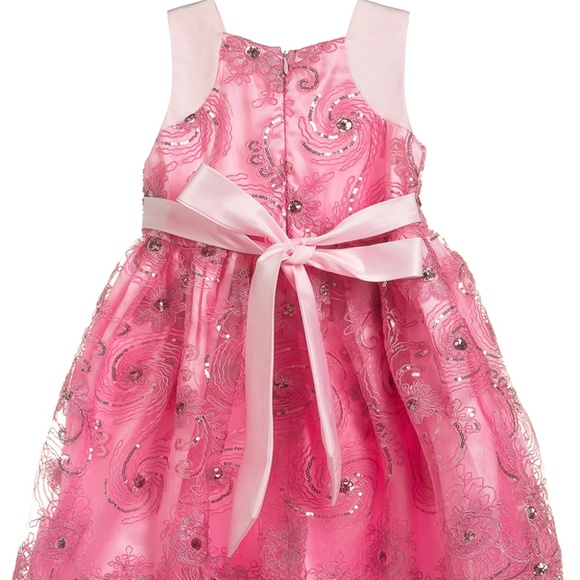 NEW Little Girls Fluffy Ruffled Tulle Pink Party Dress intricate design - Picture 3 of 4
